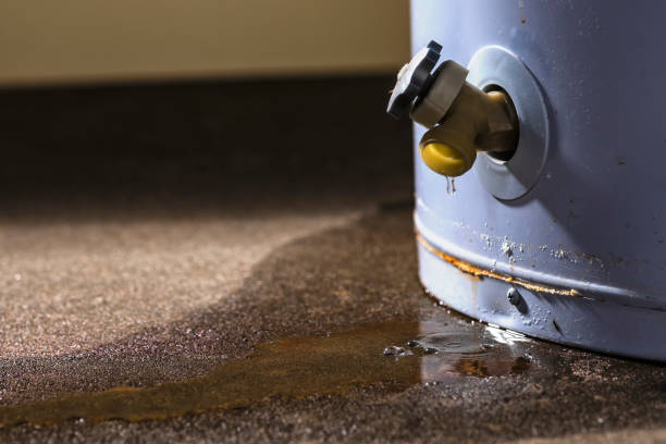 Best Water damage restoration company  in Mccall, ID