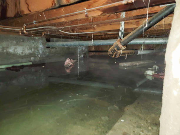 Best Water damage restoration specialists  in Mccall, ID