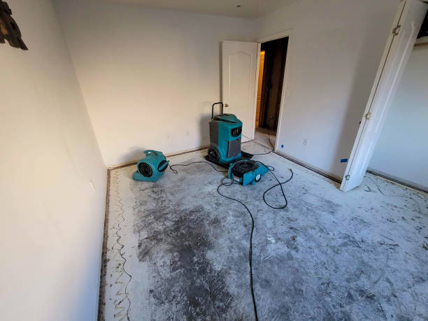 Best Ceiling water damage repair  in Mccall, ID