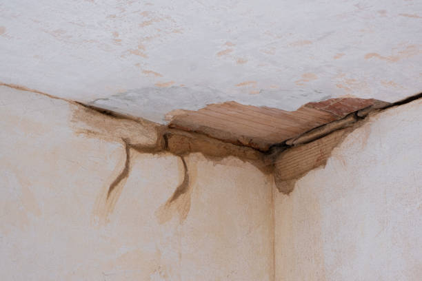 Best Sewage cleanup and water damage restoration  in Mccall, ID
