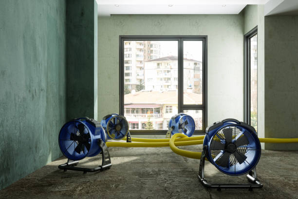 Best Professional water damage repair  in Mccall, ID